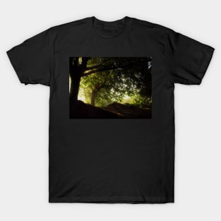 Light breakthrough T-Shirt